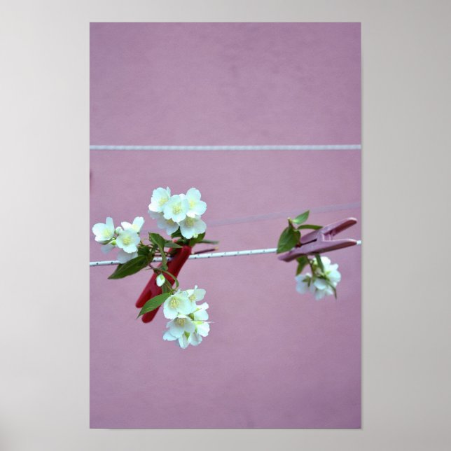 Pôster Spring Line (Frente)