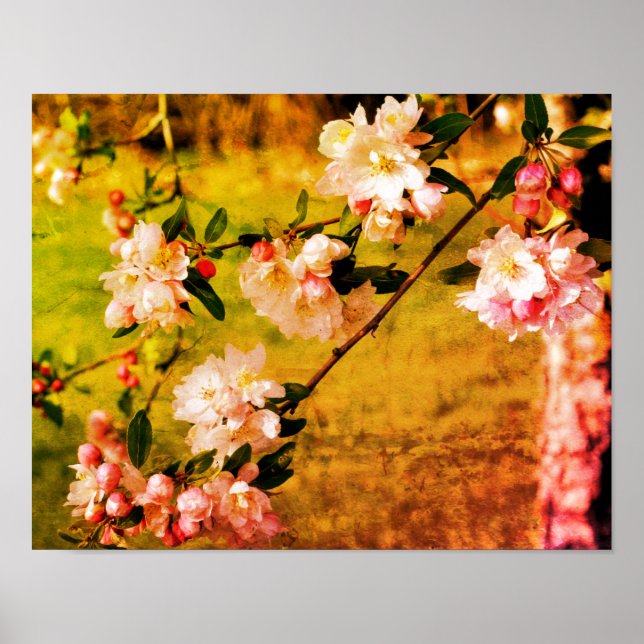Poster Spring Pink And White Blossoms Grunge Abstract (Frente)