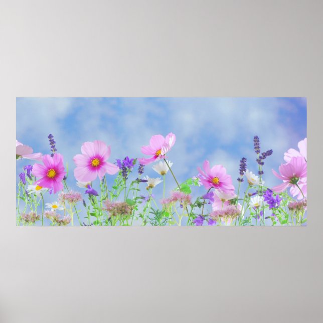 Poster Spring Sky (Frente)