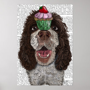 Poster Springer Spaniel com Cupcake
