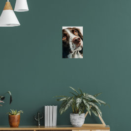 Poster Springer spaniel marrom
