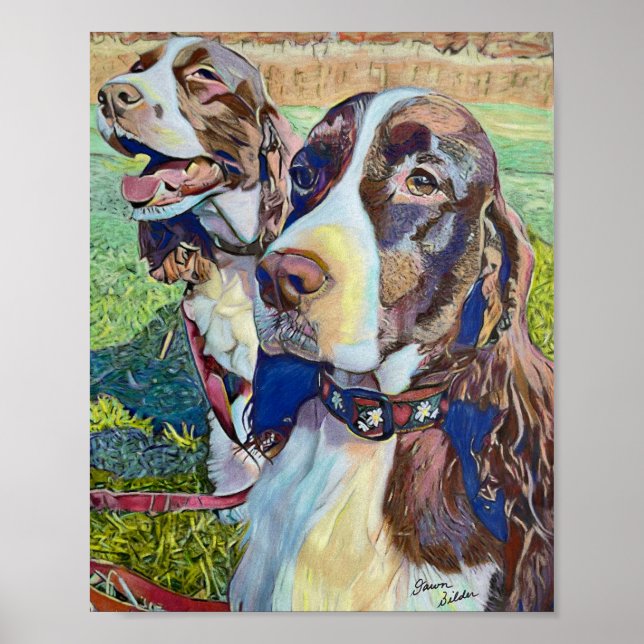 Poster Springer Spaniels (Frente)