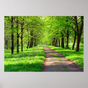 Pôster springtime avenue