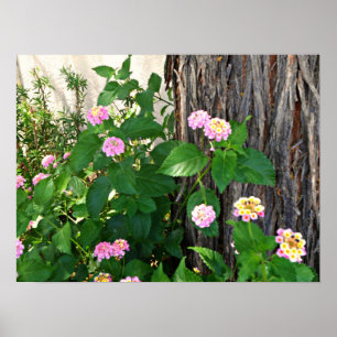 Poster Springtime Duet