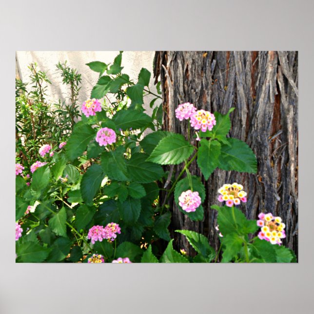 Poster Springtime Duet (Frente)