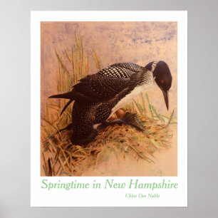 Poster Springtime em New Hampshire por Chloe Dee Noble