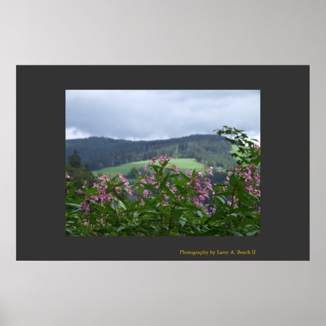 Poster Springtime em Triberg (Frente)