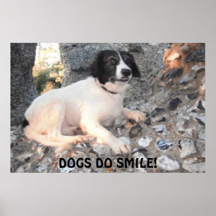 Poster Sprollie Visitando Castelo Sorrindo