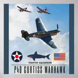 POSTER SQUADRON DE BRIGA DE WARHAWK P-40 CURTISS