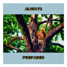 Pôster Squirrel Animal