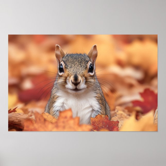 Poster Squirrel Wild Animal Loving Portrait  (Frente)