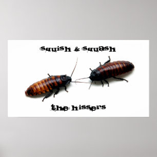 Poster Squish & polpa, o Hissers