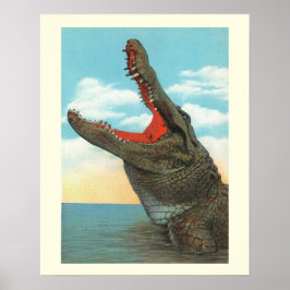 Poster Sr. Alligator