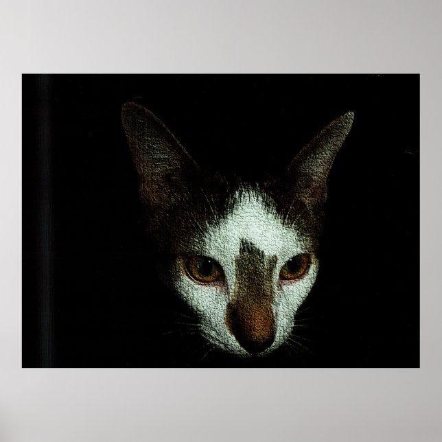 Poster Sr. Bud em Repouso (Frente)