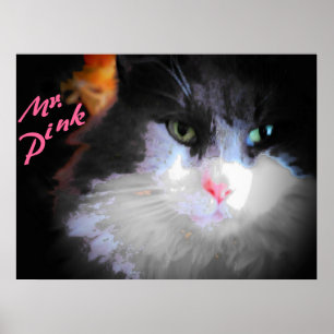 Poster Sr. Cor-de-rosa pelo djoneill