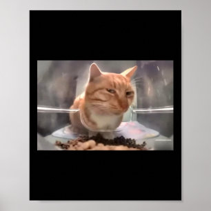 Poster Sr. Gato Fresco Do Lado Do Gato