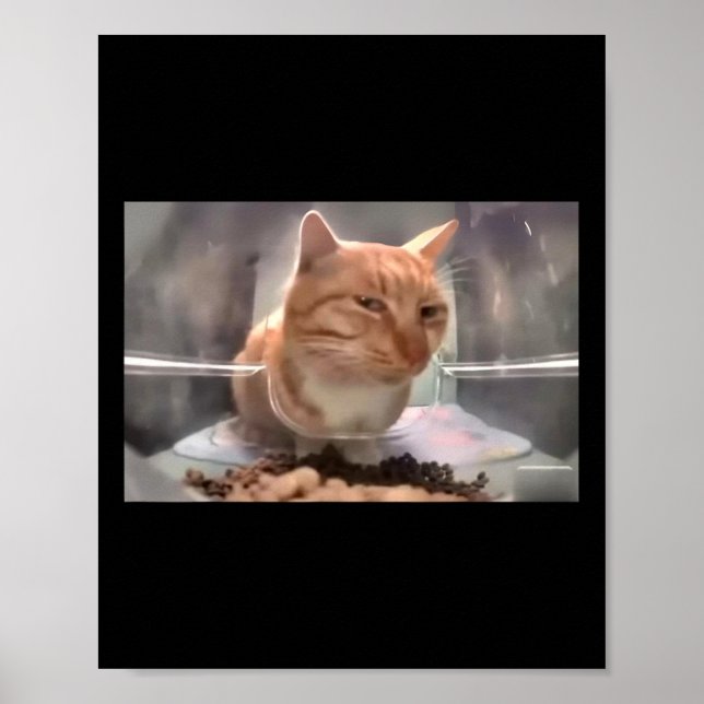 Poster Sr. Gato Fresco Do Lado Do Gato (Frente)