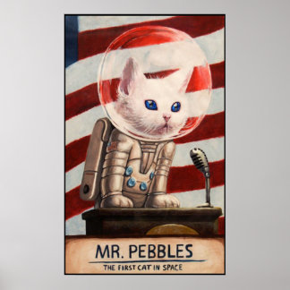 Poster SR. PEBBLES - Alta Qualidade