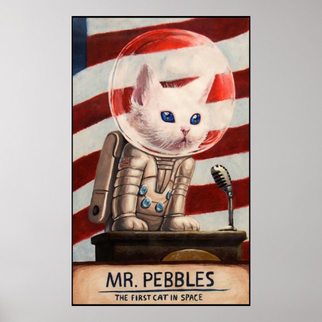 Poster SR. PEBBLES - Alta Qualidade (Frente)
