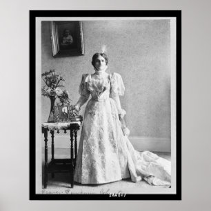 Poster Sra. McKinley de 27 retratos