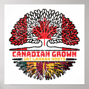 Poster Sri Lanka Sri Lanka - Raízes de Árvore Canadense