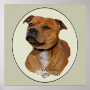 Pôster Staffordshire Bull Terrier Art Gifts