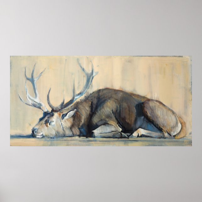 Pôster Stag 2014 (Frente)