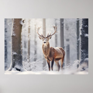 Poster Stag Deer Animal Wilderness Arte Colorida