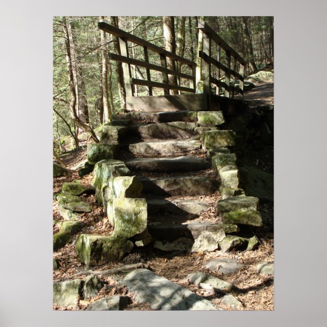 Poster Stairway to Woods (Frente)