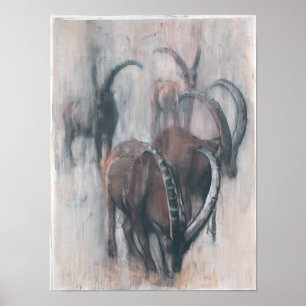 Pôster Stambecchi na propriedade