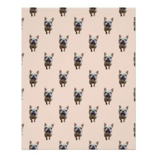 Pôster Standard_1_french buldogue_1 poster brilhante