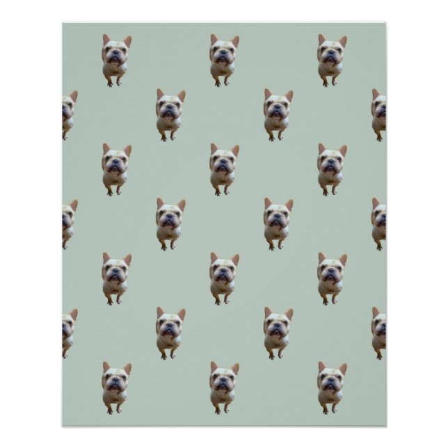 Pôster standard_2_french buldogue_2 poster brilhante (Frente)