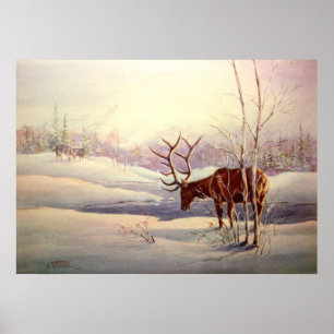 Pôster STANDOFF de SHARON SHARPE