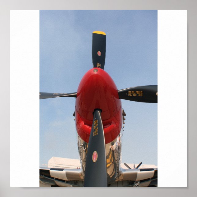 Poster "Stang" (Frente)