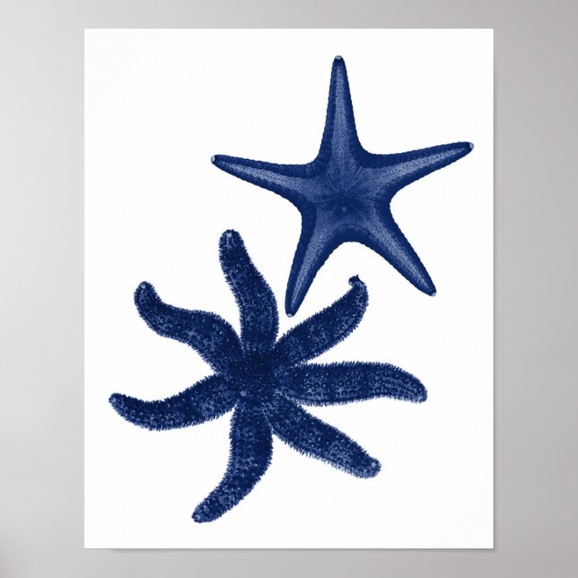 Poster Star Fish Marinho Beach Decor (Frente)