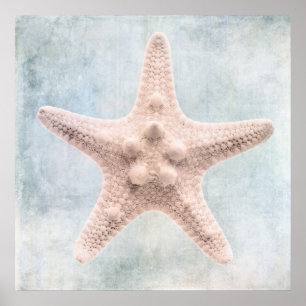Poster Starfish - Afastado Costeiro Azul-Creme - Cor da Á