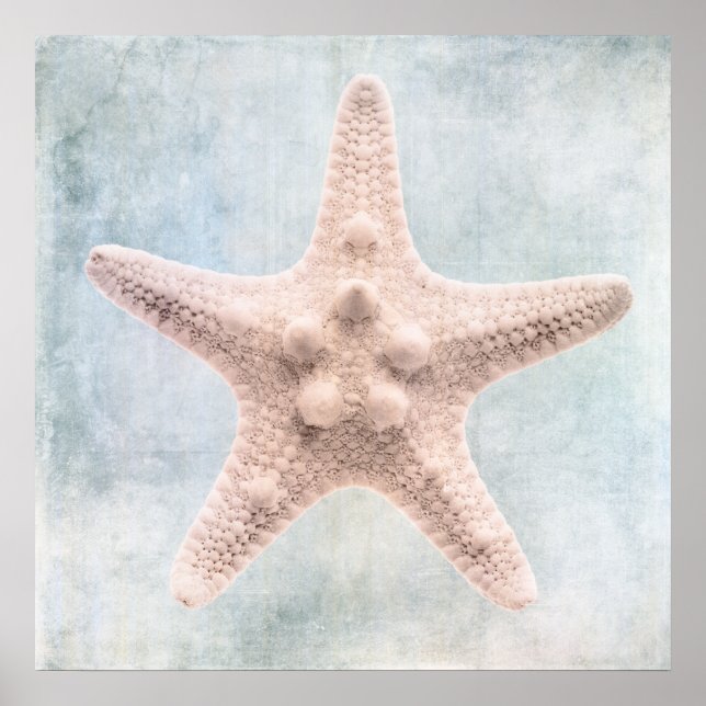 Poster Starfish - Afastado Costeiro Azul-Creme - Cor da Á (Frente)