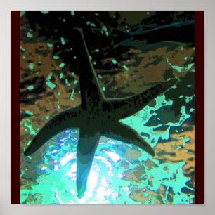 Pôster Starfish CB