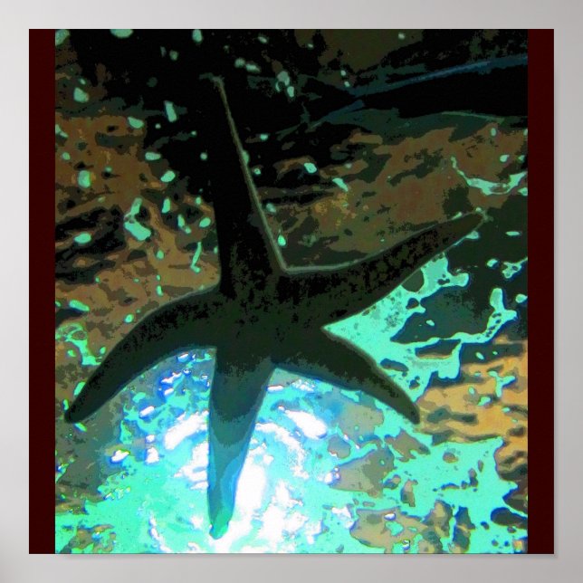 Pôster Starfish CB (Frente)