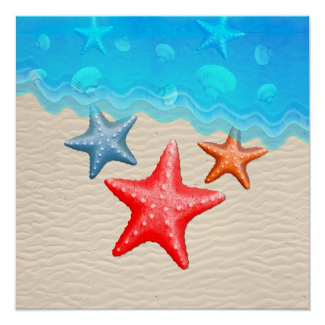 Pôster Starfish E Seasheles (Frente)