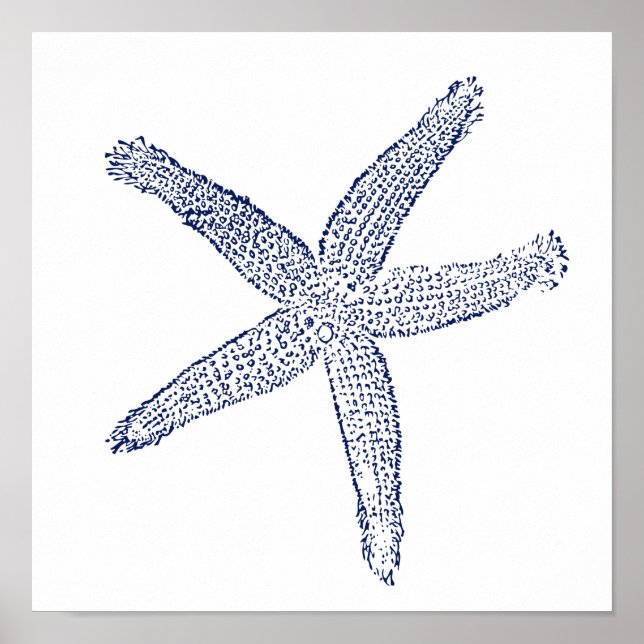 Poster Starfish minimalista (Frente)