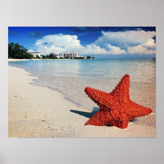 Poster Starfish, Nassau, Bahamas (Frente)