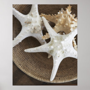 Poster Starfish numa cesta
