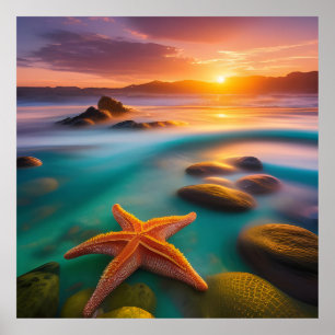Poster Starfish on beach at Dawn 