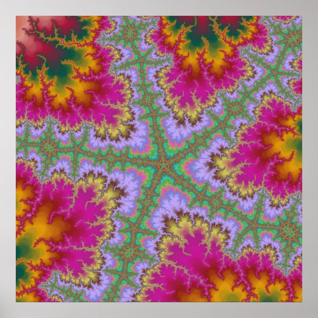 Poster Starfish Rosa Cactus (Frente)