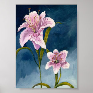 Poster Stargazer Lillies, de Toni