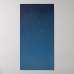 Poster Starry Morning