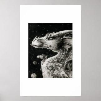 Pôster Starry Night