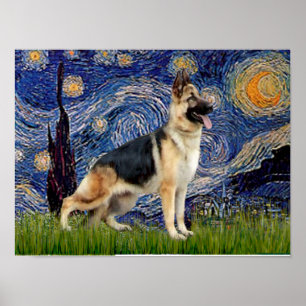 Pôster Starry Night - German shepherd 13