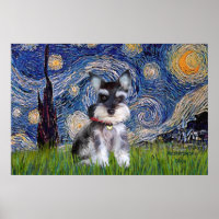 Starry Night - Schnauzer Puppy #10